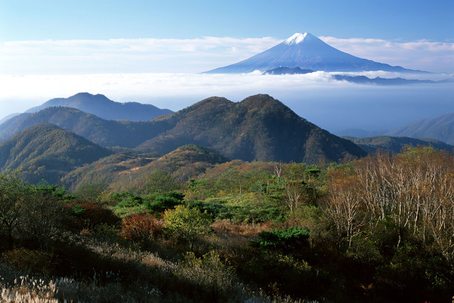 山梨県　親族間売買